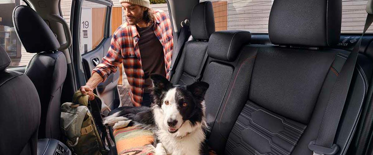 Robustez con ADN Japonés