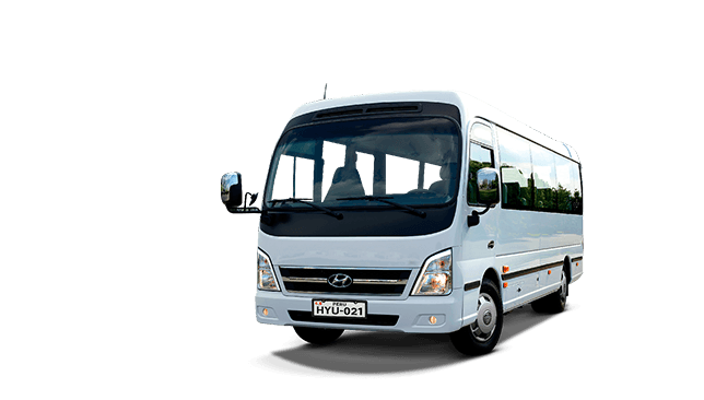 variaciones de colores